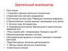 Зрительный анализатор. Характеристика светового раздражения