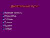 Механизмы вдоха и выдоха. Регуляция дыхания