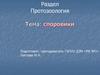 Протозоология. Паразитические споровики