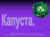 Энциклопедия одного слова «Капуста»