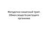 Желудочно - кишечный тракт. Обмен веществ растущего организма