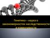 Генетика - наука о закономерностях наследственности и изменчивости организмов