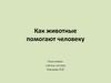 Как животные помогают человеку
