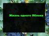 Жизнь одного яблока