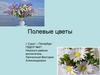 Полевые цветы