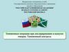 Таможенные операции при декларировании и выпуске товаров. Таможенный контроль
