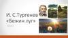 И.С. Тургенев «Бежин луг»