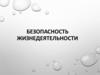 Безопасность жизнедеятельности. Безопасность человека