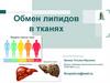 Обмен липидов в тканях