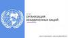 Организация объединенных наций (ООН)