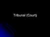 Tribunal (Court)