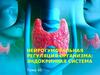 Нейрогуморальная регуляция организма: эндокринная система. Тема 46