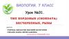 Тип Хордовые (chordata): бесчерепные, рыбы. Урок №31. 7 класс
