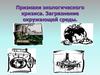 Признаки экологического кризиса. Загрязнение окружающей среды