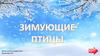Игра "Зимующие птицы"