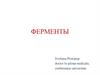 Ферменты. Доказательства белковой природы ферментов