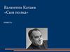 Валентин Катаев «Сын полка», повесть