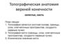 Топографическая анатомия верхней конечности. Запястье, кисть