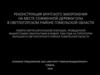 Реконструкция братского захоронения на месте сожженной деревни Олы в Светлогорском районе Гомельской области памяти жертв