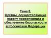 Органы, осуществляющие охрану правопорядка и обеспечение безопасности в Российской Федерации