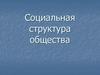 Социальная структура общества
