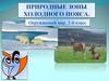 Природные зоны холодного пояса  (2 класс)
