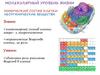 Молекулярный уровень жизни химический состав клетки неорганические вещества