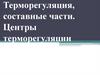 Терморегуляция, составные части. Центры терморегуляции