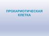 Прокариотическая клетка