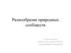 Разнообразие природных сообществ. Природные сообщества озёр и прудов