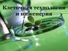 Клеточная технология и инженерия