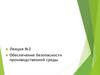 Обеспечение безопасности производственной среды. Лекция №3