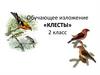 Клесты. Обучающее изложение