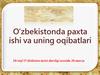O‘zbekistonda paxta ishi va uning oqibatlari