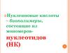 Нуклеиновые кислоты - биополимеры, состоящие из мономеров-нуклеотидов (НК)