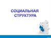 Социальная структура