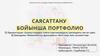 Саясаттану Бойынша. Портфолио