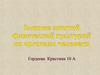 Влияние занятий физической культурой на организм человека