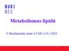 Metabolismus lipidů