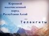 Коренной малочисленный народ Республики Алтай. Теленгиты