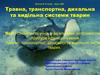 Травна, транспортна, дихальна та видільна системи тварин