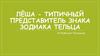 Лёша - типичный представитель знака зодиака Тельца