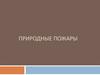 Природные пожары. Лесной пожар