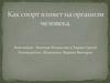 Как спорт влияет на организм человека?