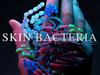 Skin Bacteria