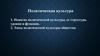 Понятие политической культуры, ее структура, уровни и функции