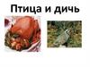 Птица и дичь