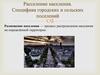 Расселение населения. Специфика городских и сельских поселений