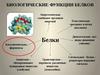 Биологические функции белков