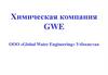 Химическая компания GWE
